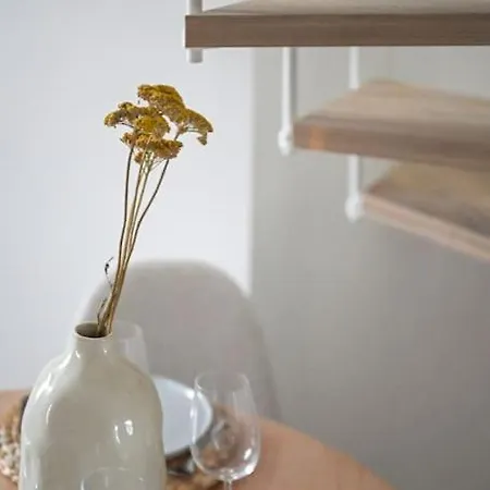 Duplex Elégant - 250m